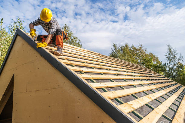 Best Roof Gutter Cleaning  in Notasulga, AL